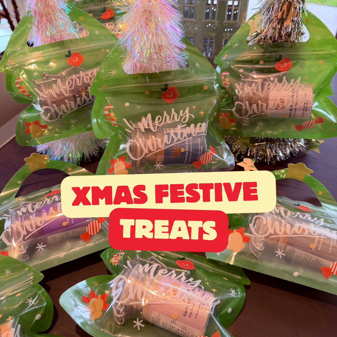 Lilo Xmas Festive Treats