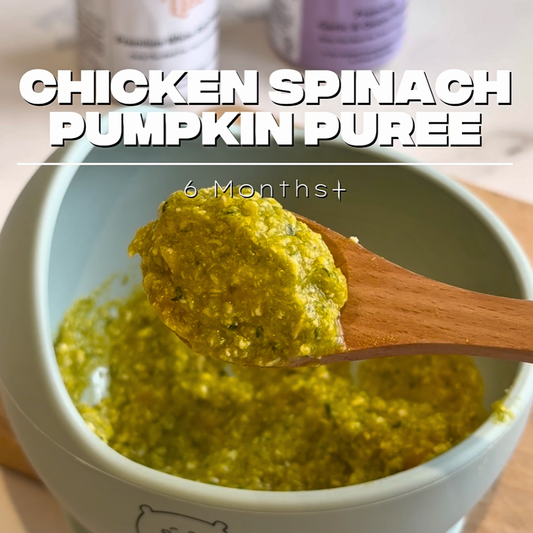 Chicken Spinach Pumpkin Purée